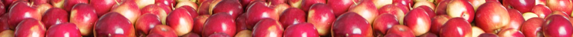 CTG_0000_nous_joindre-pomme