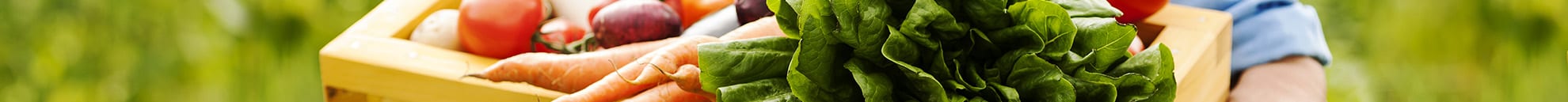 CTG_0004_a_propos-légume_frais